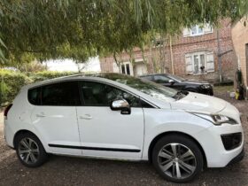 PEUGEOT 3008 Féline