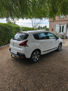 PEUGEOT 3008 Féline