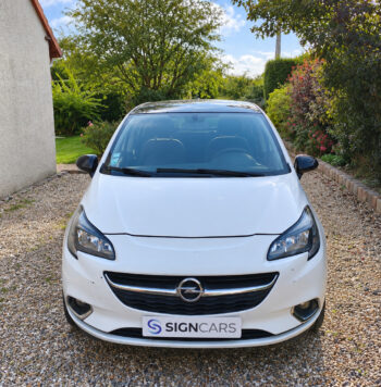Opel Corsa blanc au jardin