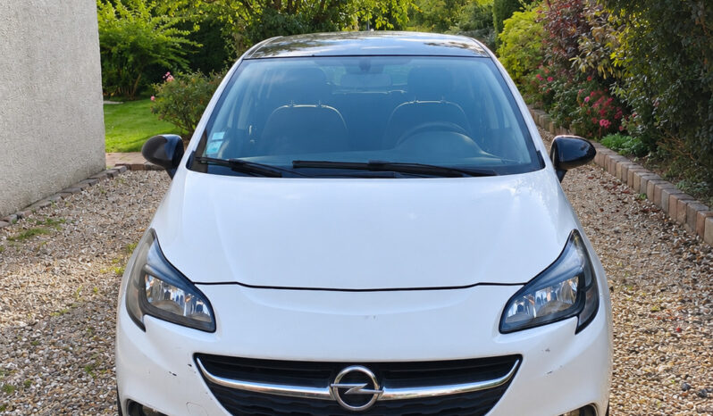 Opel Corsa blanc au jardin